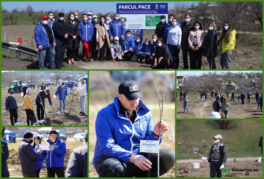 FOTO/VIDEO: PACE a făcut primul pas: Am plantat 4111 pomi în memoria moldovenilor răpuși de COVID-19
